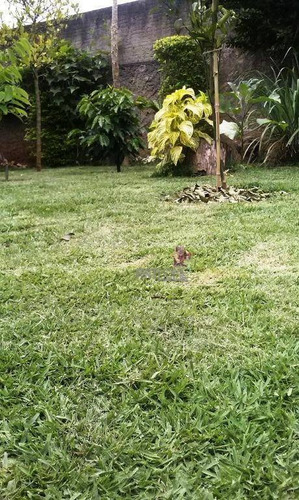 Imagem 21 de 28 de Chácara Com 2 Dormitórios À Venda, 300 M² Por R$ 220.000,00 - Vila Santo Antônio - Boituva/sp - Ch0008
