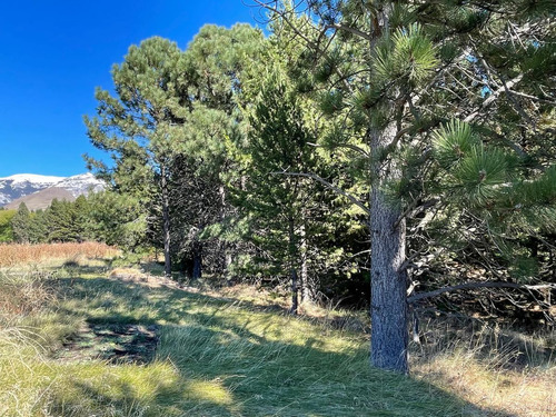 Imagen 11 de 16 de Terreno En Venta El Desafio Mountain