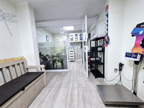 Clínica Veterinaria En Arriendo, En San Bernardo