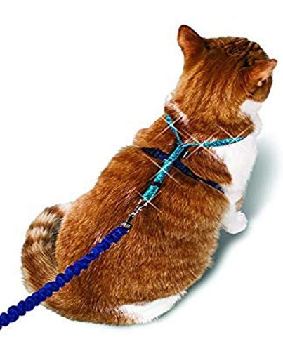 Petsafe Come With Me Kitty - Arnes Y Bungee Correa, Sparkle