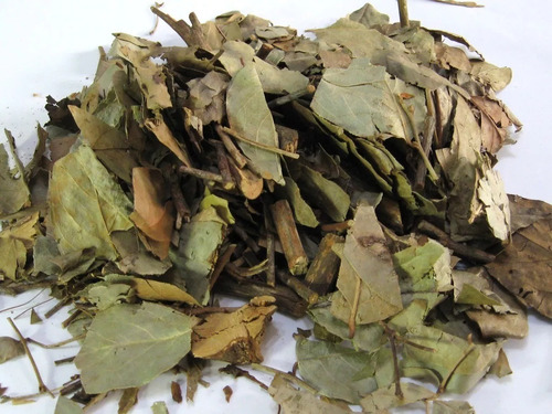 Imagen 1 de 1 de Eucalipto Té Orgánico 500 Grs