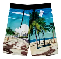 Comprar 3  Bermudas Tactel Moda Praia Verão Surf  E Florais Oferta