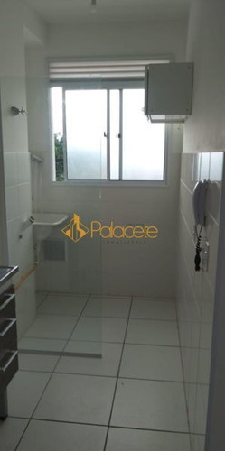 Imagem 16 de 16 de Apartamento Padrão Com 2 Quartos - 501786-v