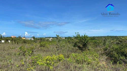 Imagem 9 de 12 de Terreno 3.000m² Em Tabatinga (excelente Para Condomínios E Hotéis) - Te0784