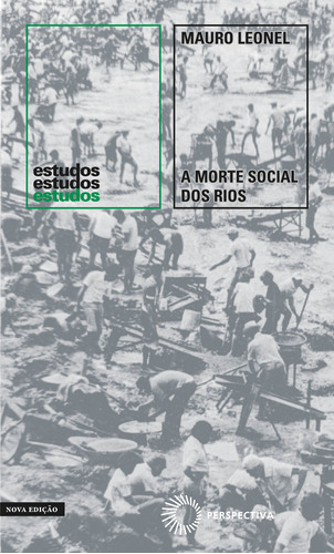 A morte social dos rios, de Leonel, Mauro. Série Estudos Editora Perspectiva Ltda., capa mole em português, 2020