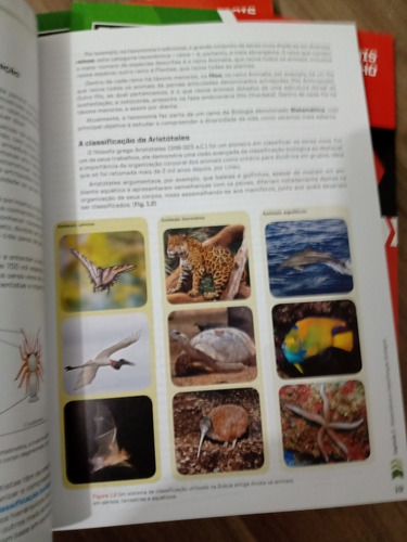 Biologia Dos Organismos 2 Com Amabis E Martho