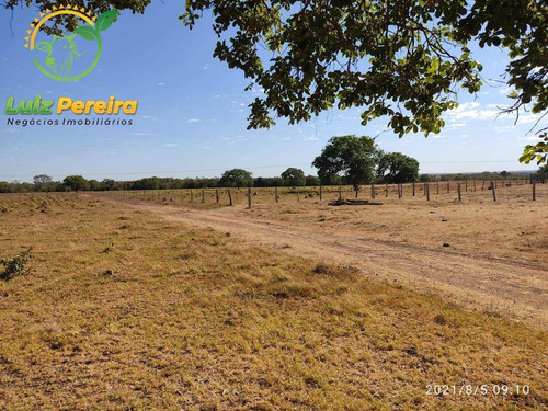 Imagem 10 de 15 de Fazenda À Venda No Vale Do Araguaia - To 532 Hec (dupla Aptidão) - 1912