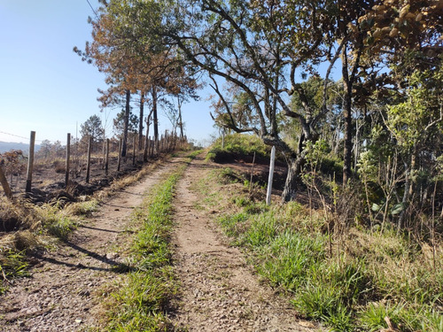 Terreno Em Itaquaciara, Itapecerica Da Serra-sp, À 1,93 Km Da Rodovia. Br116.