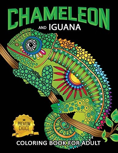 Chameleon And Iguana Coloring Book For Adults Animals On Bea