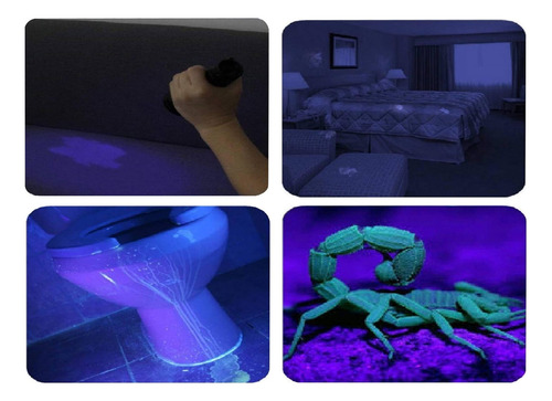 365nm - Lanterna Uv Recarregável Usb, Mini Detector Portátil