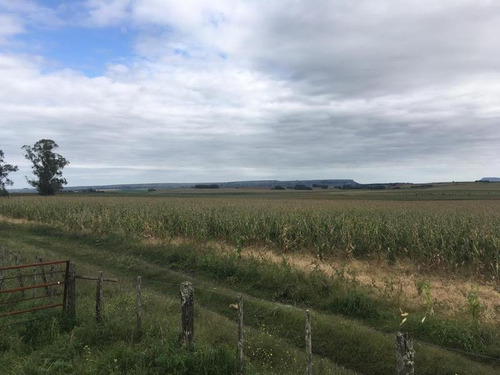 Imagen 6 de 15 de Campo - Balcarce