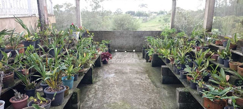 Imagem 13 de 14 de Maravilhoso Sítio Em Meio A Natureza De Mogi Das Cruzes!!!