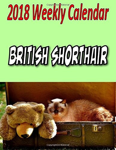 2018 Weekly Calendar British Shorthair Cat Jokes, Puns,  Y  
