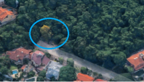 Imagem 1 de 5 de Terreno - Te00031 - 69369698