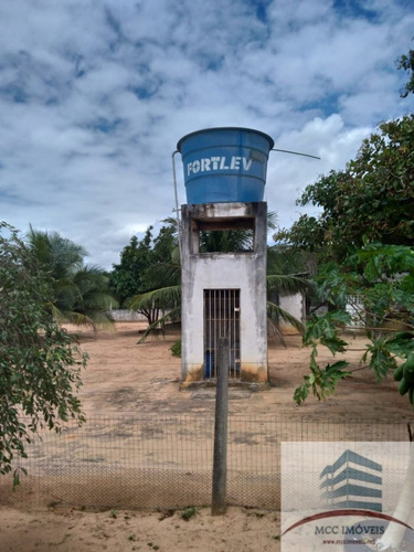 Imagem 8 de 9 de Granja A Venda Povoado Mendes, São José De Mipibu