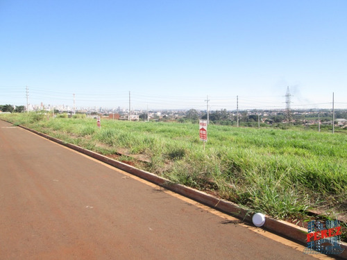 Imagem 11 de 13 de Terrenos Para Venda - 13650.5633