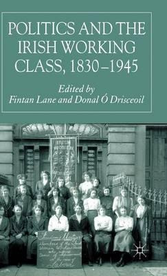 Libro Politics And The Irish Working Class, 1830-1945 - D...