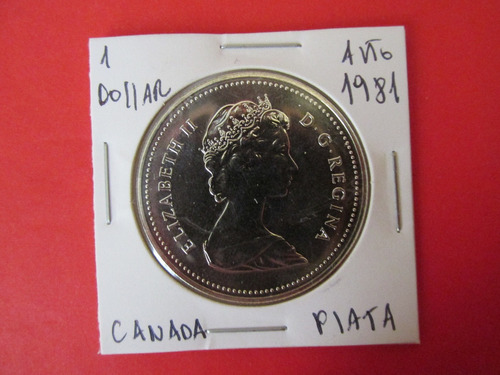 Moneda 1 Dollar Canada Plata Reina Isabel Ii Año 1981 Unc