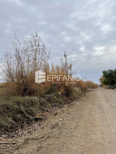 Imagen 5 de 9 de Venta - Lote En Stefenelli - 3300 M2