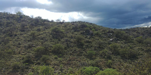 San Francisco Del Monte De Oro, Chacra 40 Hectareas Sobre Ruta , Escritura Inmediata
