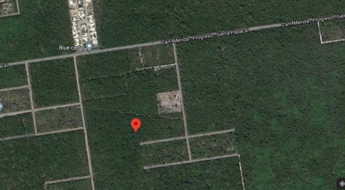 Imagen 2 de 5 de Excelente Terreno Para Inversión