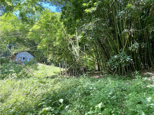 Venta Lotes En Minca Sierra Nevada De Santa Marta, Colombia