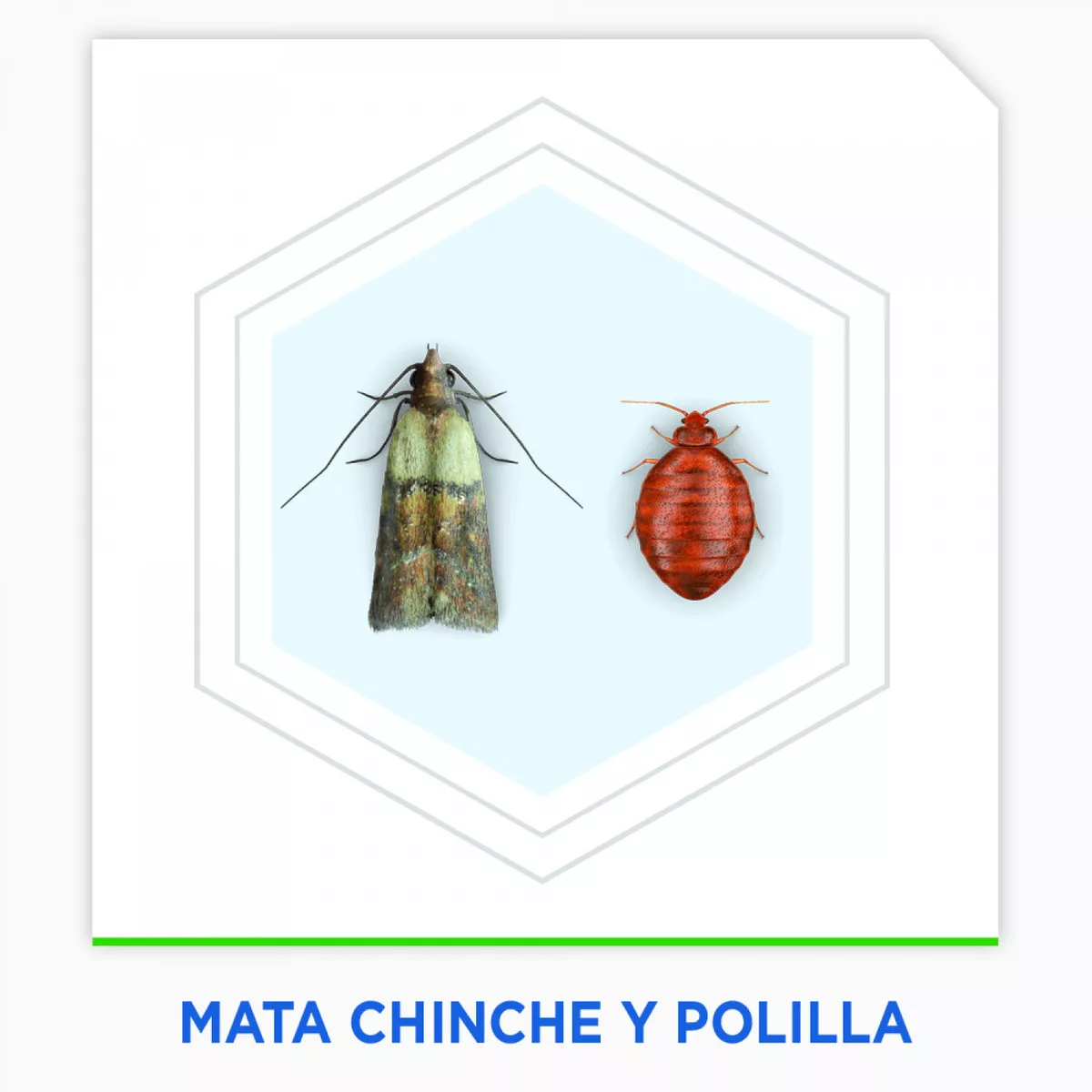 Tercera imagen para búsqueda de raid insecticida