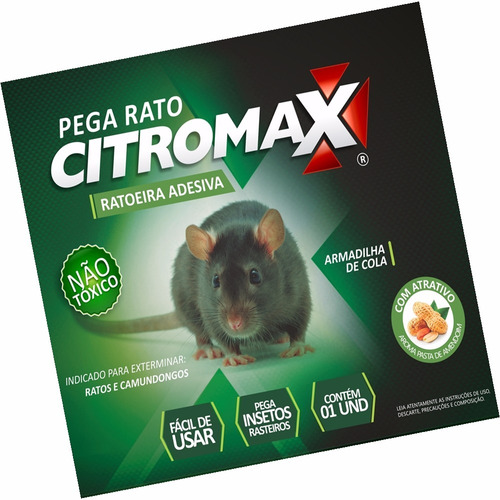 Ratoeira Pega Cola Rato E Camundongo - 12un.