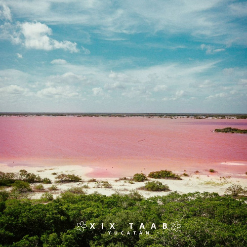 Sal Rosa Xix Taab De Celestún, Yucatán.