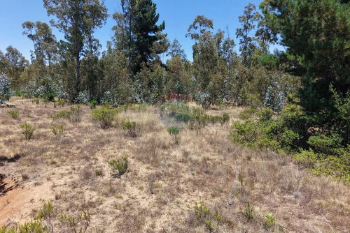 Extraordinario Terreno En La Polcura, 6.575 M²