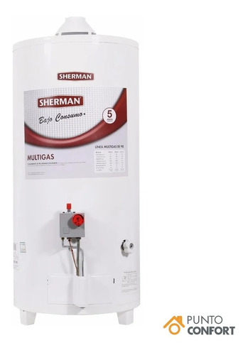 Termotanque Sherman De Pie 50 Litros A Gas - Carga Superior 