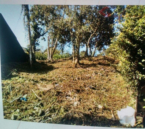 Imagem 2 de 6 de Terreno À Venda, 558 M² Por R$ 250.000,00 - Riacho Grande - São Bernardo Do Campo/sp - Te0174