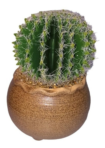 Adornos Con Base Cactus Magnificus