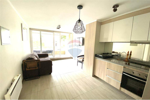 En Venta Departamento 1 Dormitorio 1 Baño En Pucón