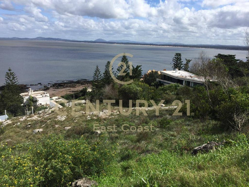 Espectacular Terreno Punta Ballena A Metros De Casa Pueblo