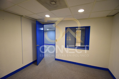 Oficina En Renta En Anzures 6c/2b/1e - Excelente Ubicación - 178m2