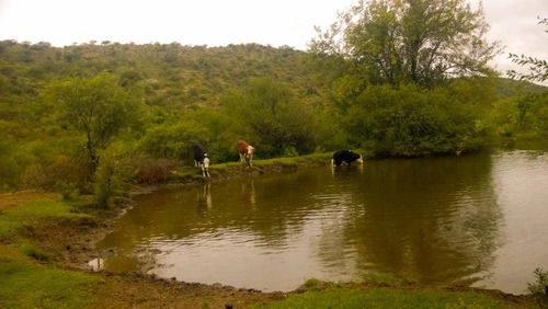 San Francisco Del Monte De Oro, Chacra Sobre Ruta 40 Has , Escritura Inmediata