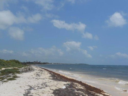 Imagen 1 de 16 de Oportunidad!! Terreno Frente Al Mar Mahahual-rio Indio P2699