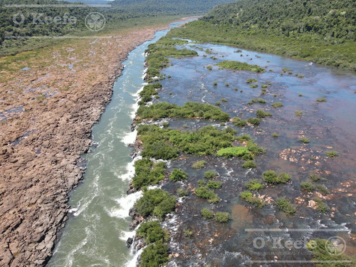 Imagen 23 de 30 de Grandes Extensiones De Bosque Nativo En Misiones - Bonos Verdes- Ideal Conservacionistas