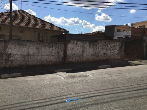 Imagem 10 de 15 de Terreno Casa Verde Alta Sp Zn - 19154-1