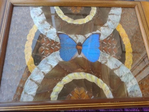 Hermosa Bandeja De Madera Decorada Con Alas De Mariposas 