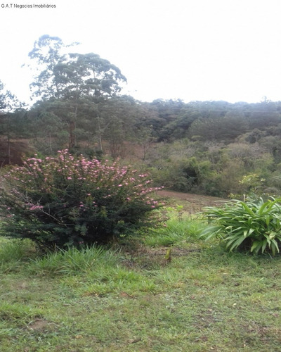 Imagem 14 de 18 de Sitio À Venda No Monjolada - Guiapiara/sp - St00246 - 68125721