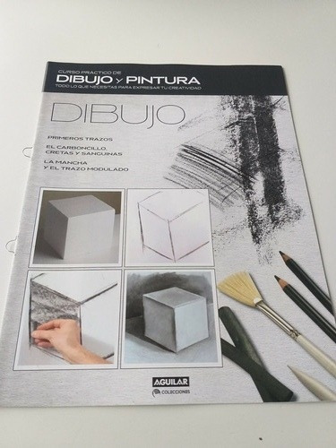Dvd Y Fascículos Curso Práctico De Dibujo Y Pintura 1 (Usado)