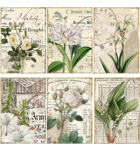 Set De 16 Papeles Botánica Vintage Scrapbook Collages