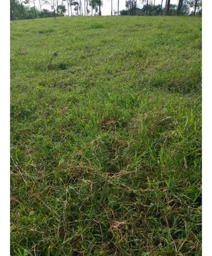 Venta Finca Montenegro Sector Vereda Pueblo Rico - 11 Cuadras