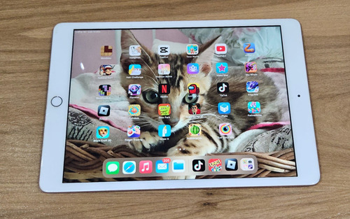 Apple Ipad De 10.2 Wi-fi 128gb Oro (8a Generación) Dorado (Usado)