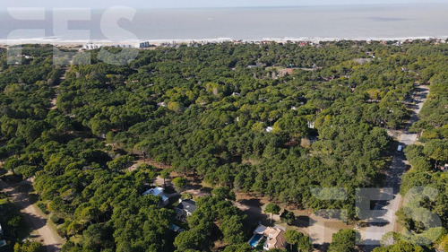 Imagen 4 de 4 de Venta Lote - Pinamar Norte
