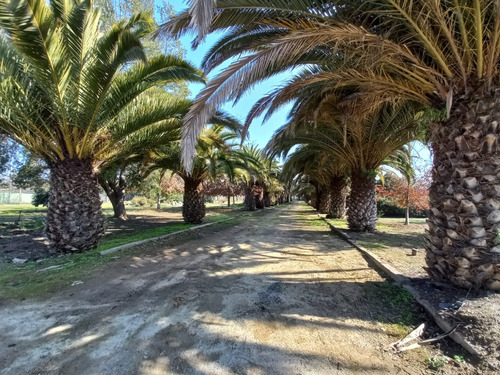 Parcelas Centrales En Olmué