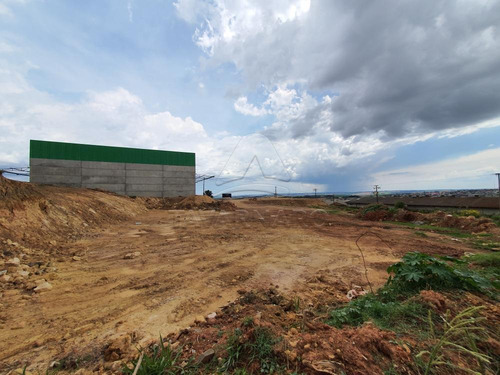 Imagem 5 de 5 de Terrenos - Ref: V1117