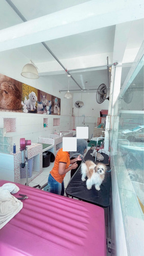Imagem 6 de 8 de Vendo Pet Shop Zona Leste